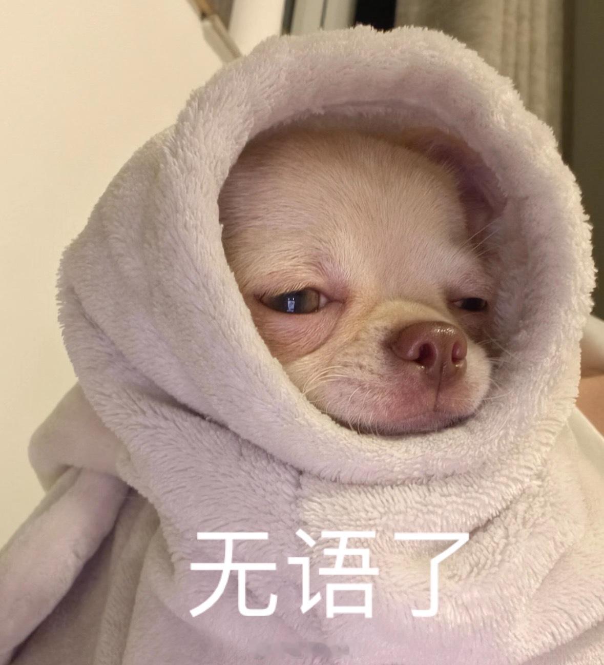 很真诚啊，谈恋爱也很正常啊，什么叫玩的花？那些明面上没谈过恋爱的爱豆，你信？王嘉