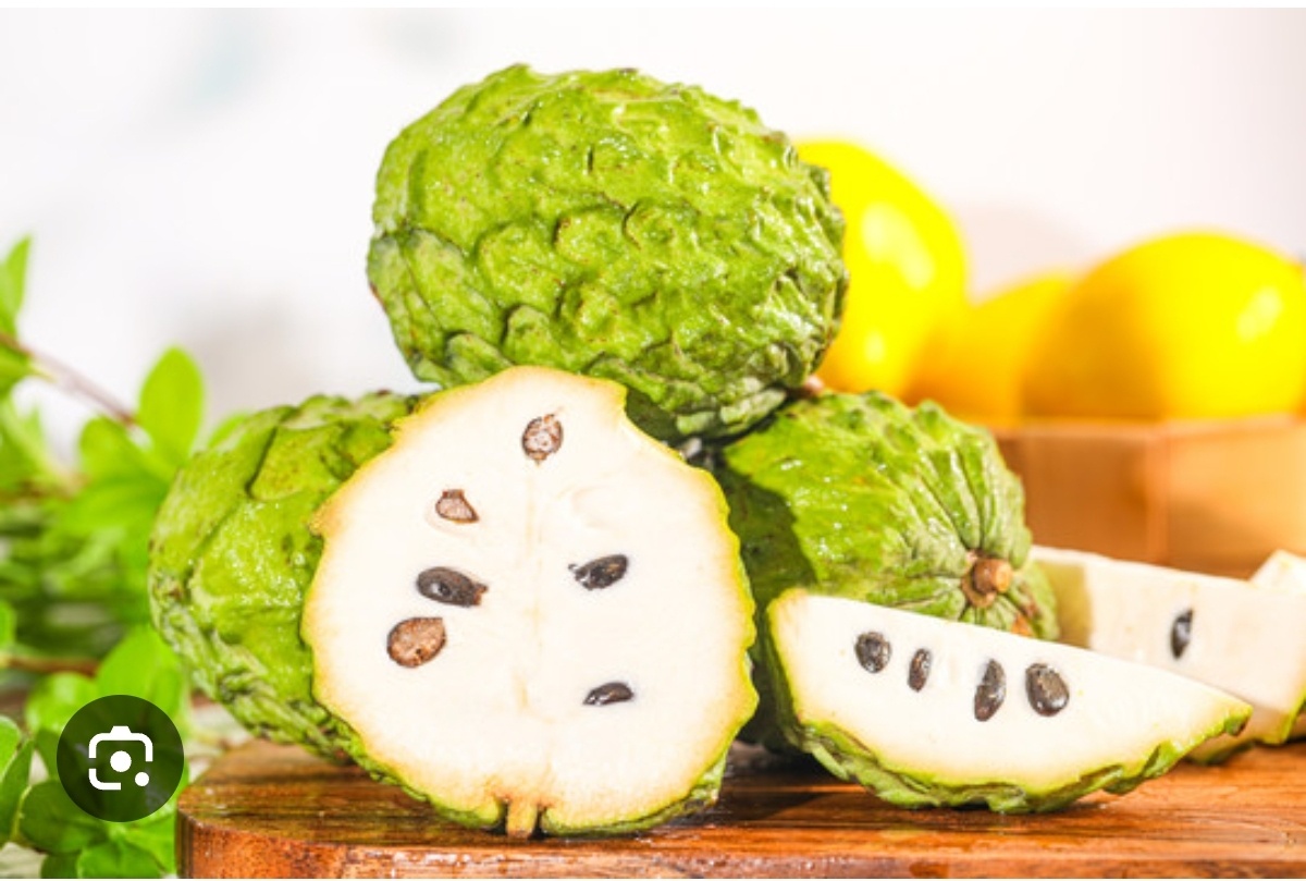 【释迦果种植】2⃣️【释迦果种植方法】：1. 选地与备种🔹气候适配：优先选择年