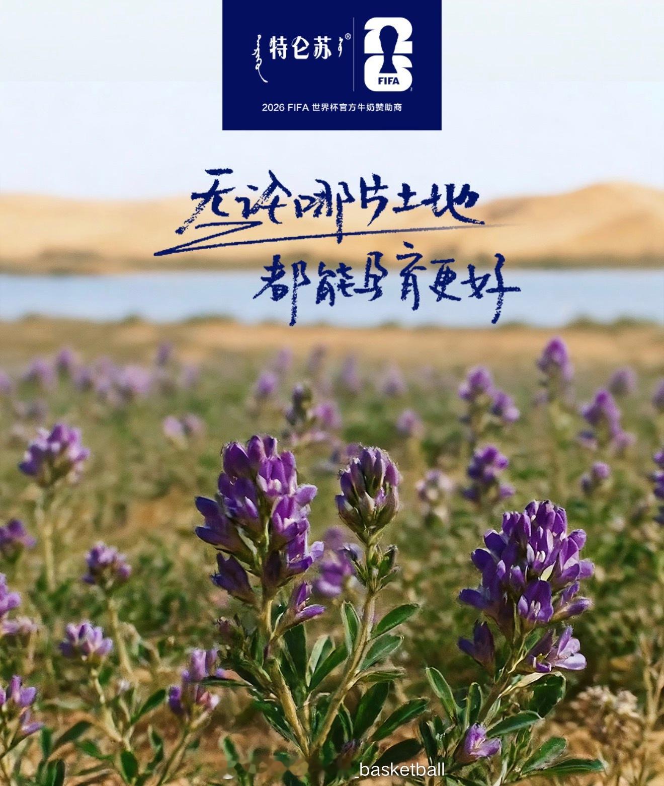 世界杯想拿到冠军，防守至关重要。2026年世界杯官方牛奶赞助商特仑苏能在沙漠边把