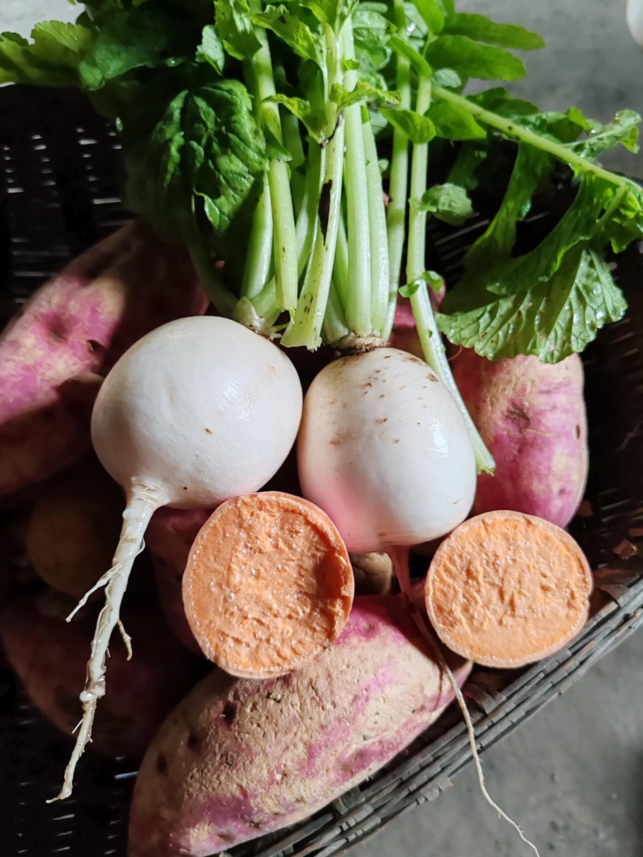 秋日生活打卡季萝卜青菜，各有所爱。自家种的萝卜和红苕你喜欢哪个