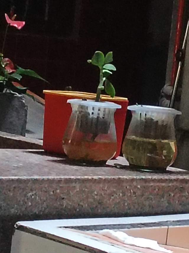 央视视频平台神仙打架！9月新剧题材全开花，总有一部戳中你