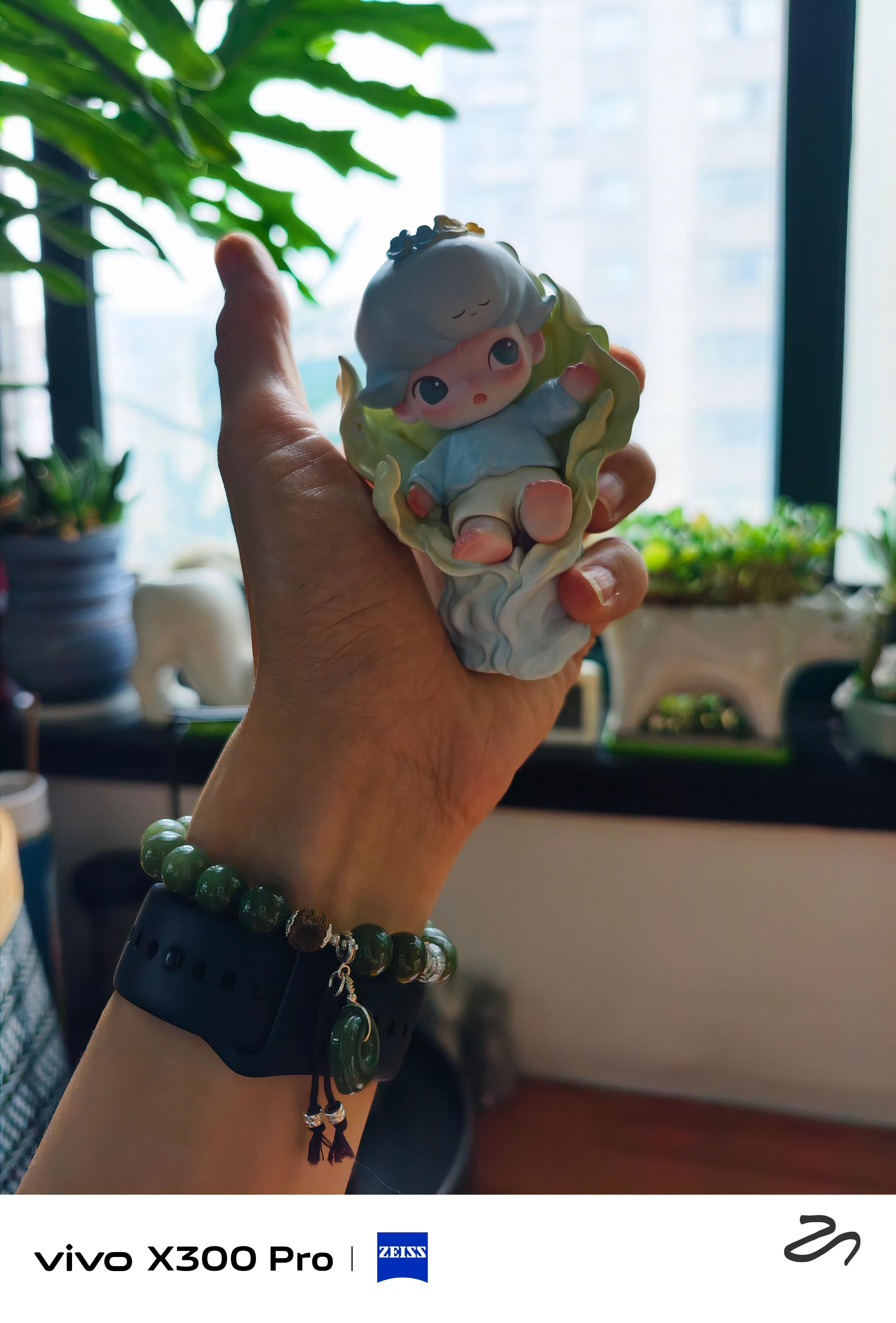 分享图片 