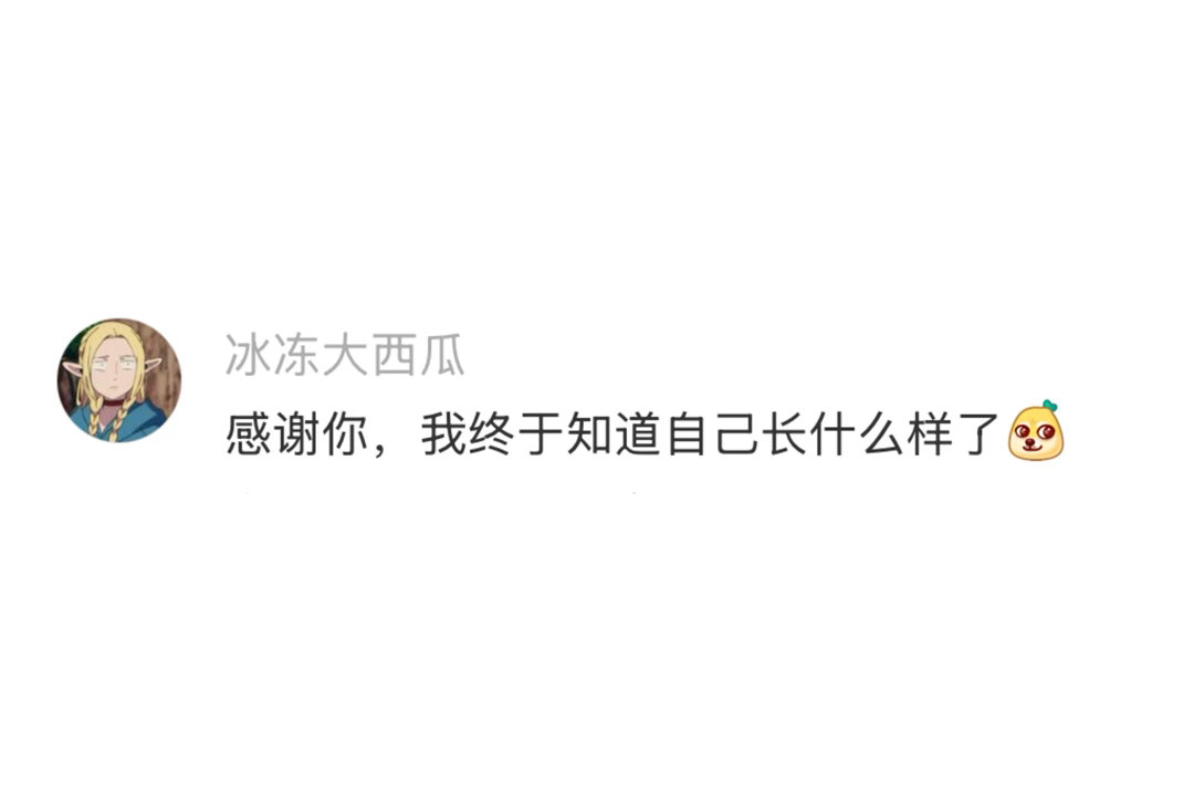 不小心把西瓜放到了冷冻里 