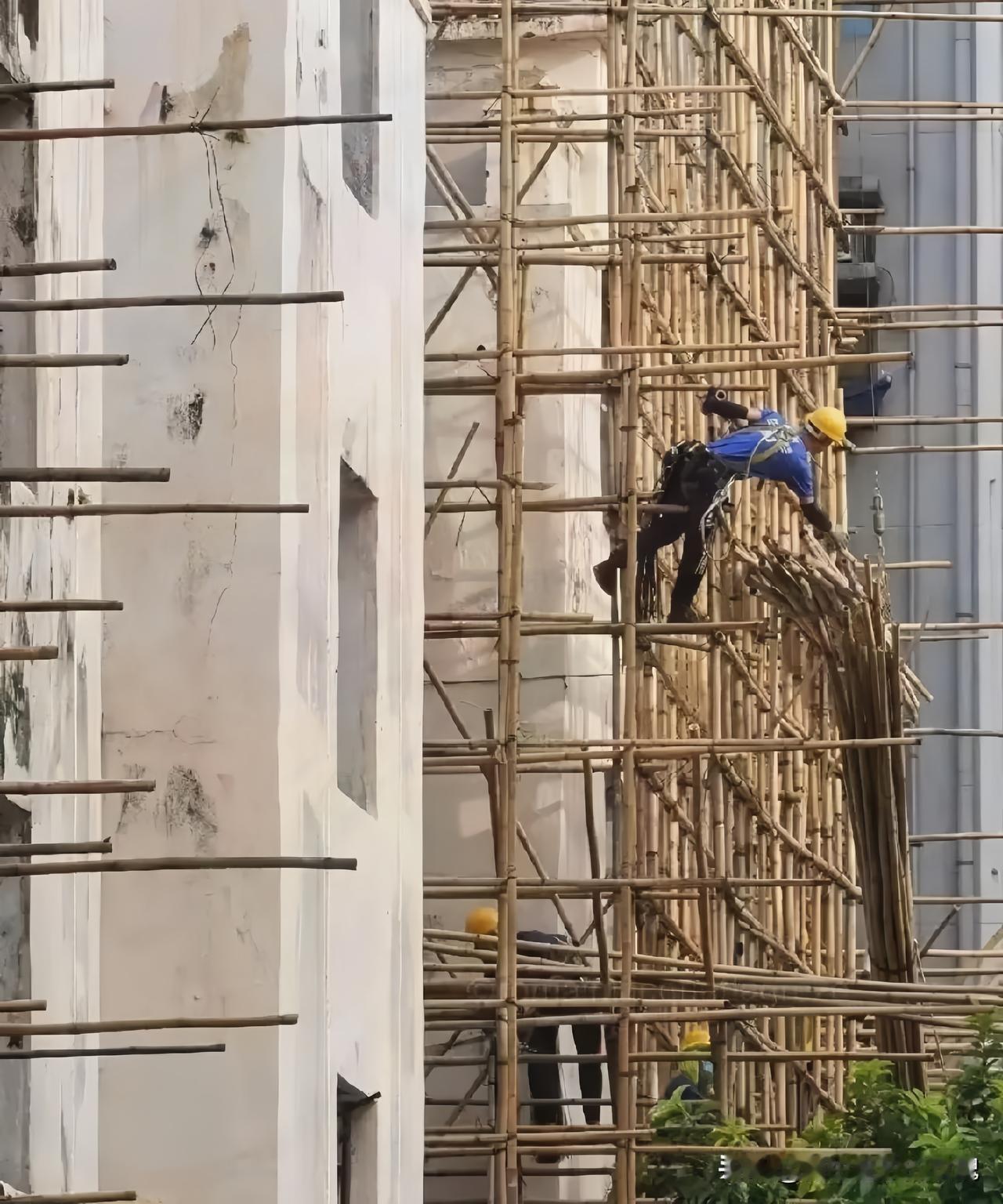 香港为啥还在用竹制脚手架？
 
真正原因里，香港竹子协会确实起了关键作用，这竹子