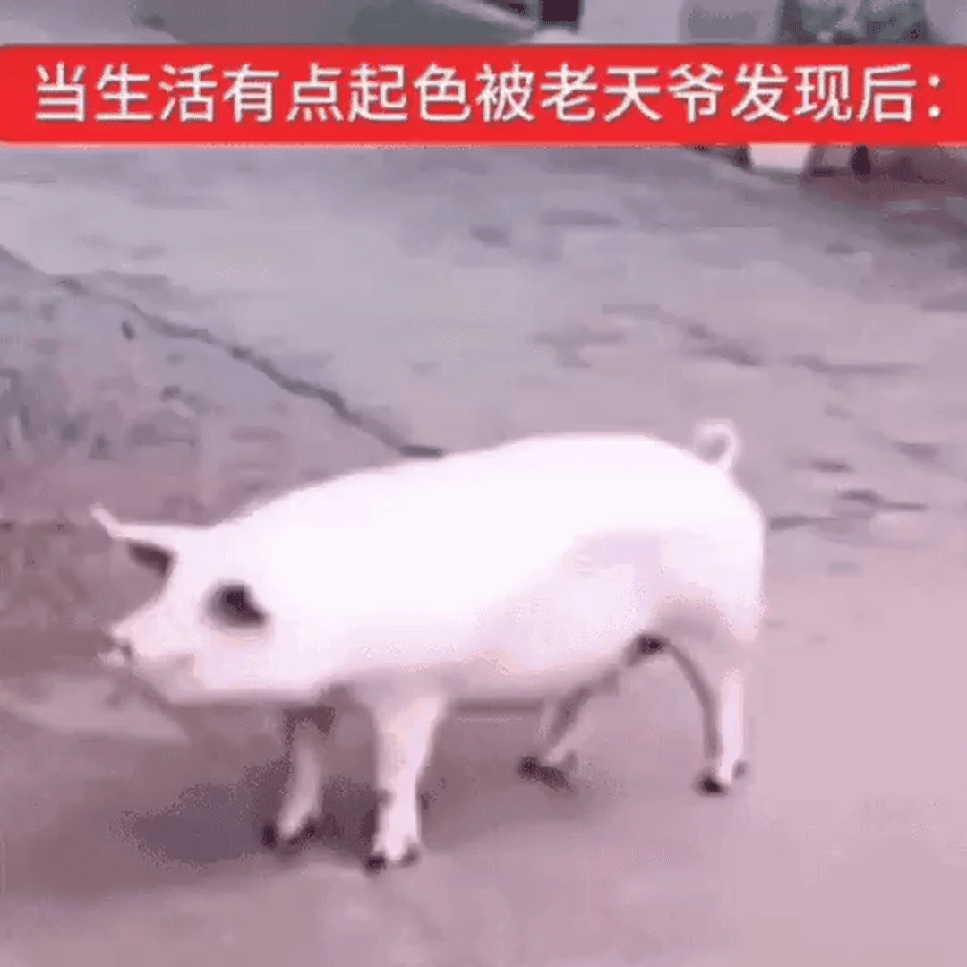 有色金属你欠我的什么时候还…… 