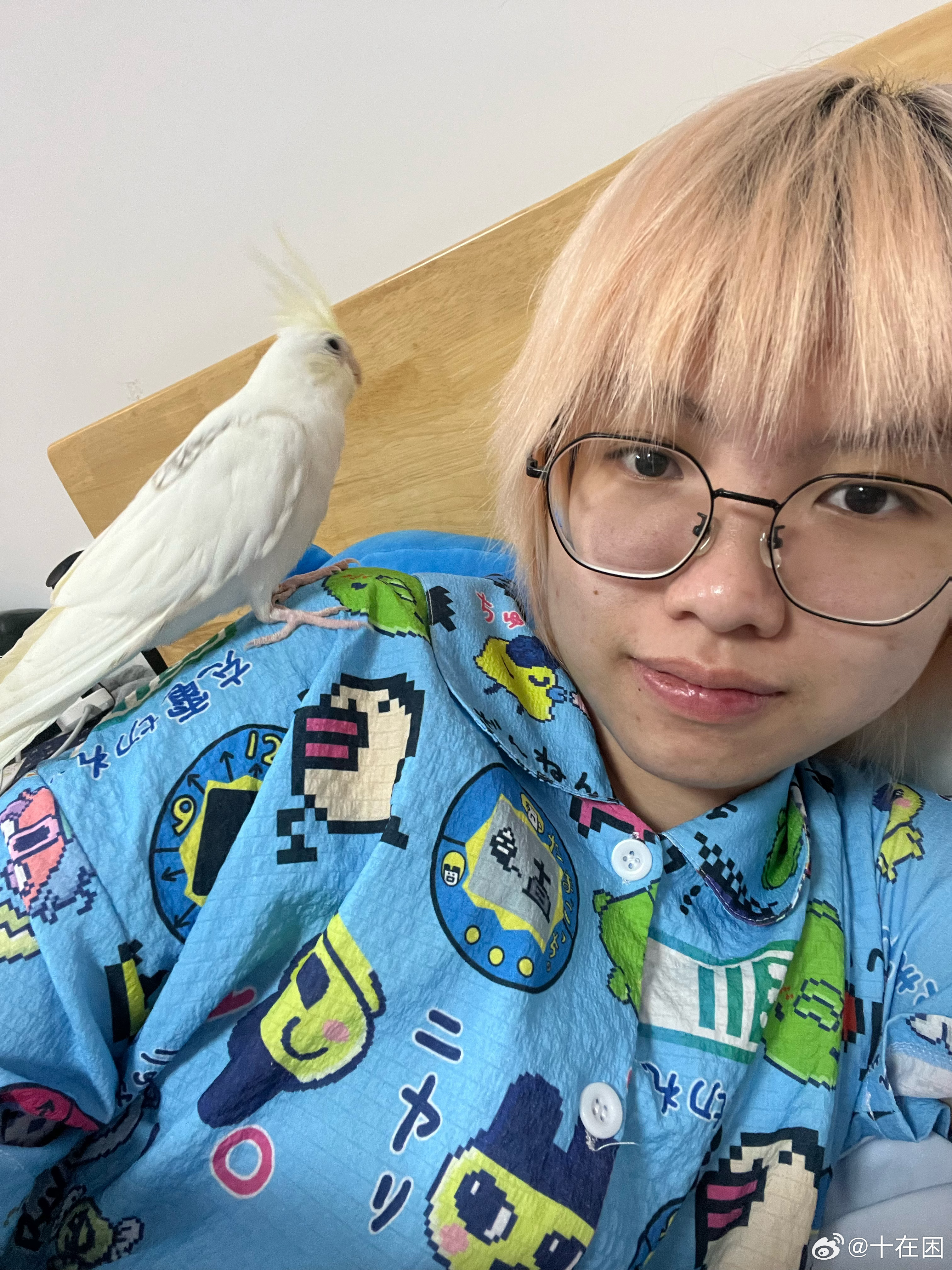 这鸟会不会太礼貌了啊。 