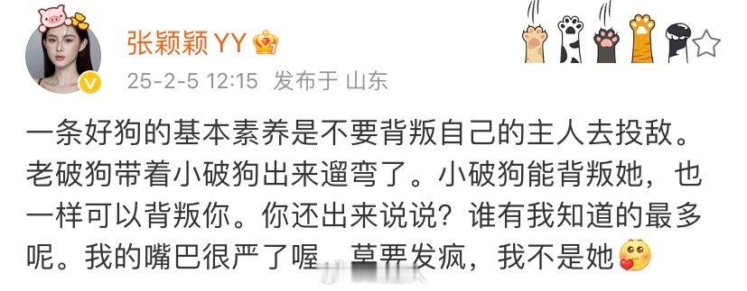 张颖颖说老破狗带着小破狗出来遛弯了   张颖颖说我不是她！“一条好狗的基本素养是