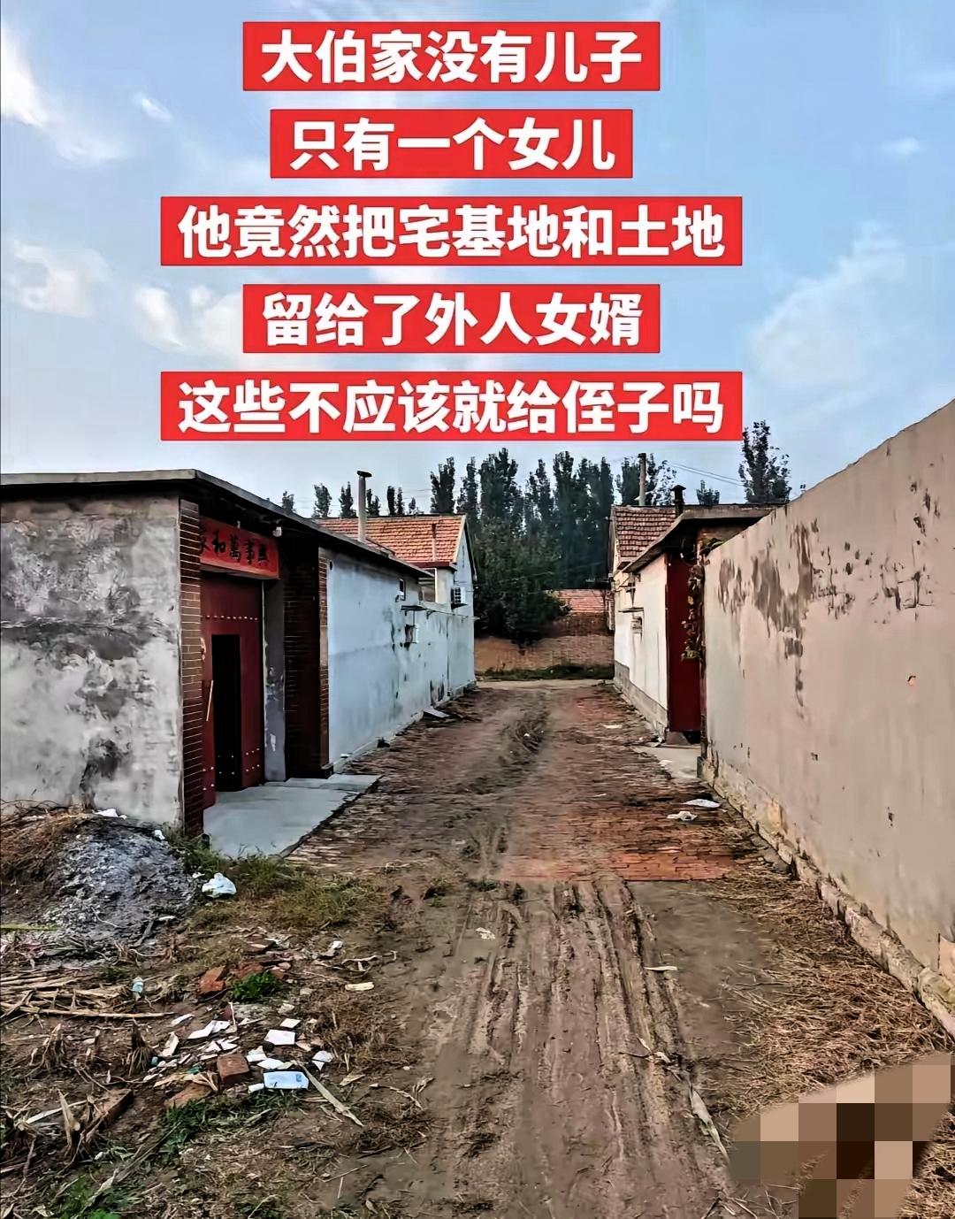 侄子凭啥和女婿争宅基地？这波老人的操作太清醒了！
 
真搞不懂有些侄子的脑回路，