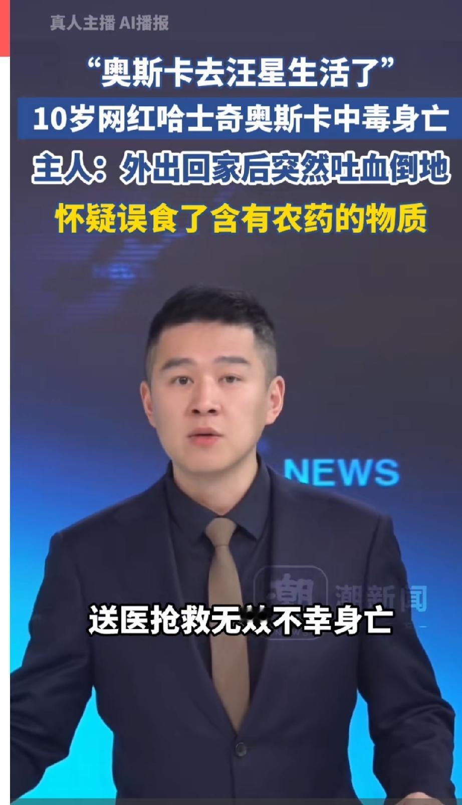 奥斯卡不幸身亡！年仅10岁，在全网拥有700多万粉丝，绝对是全网最知名的网红狗之