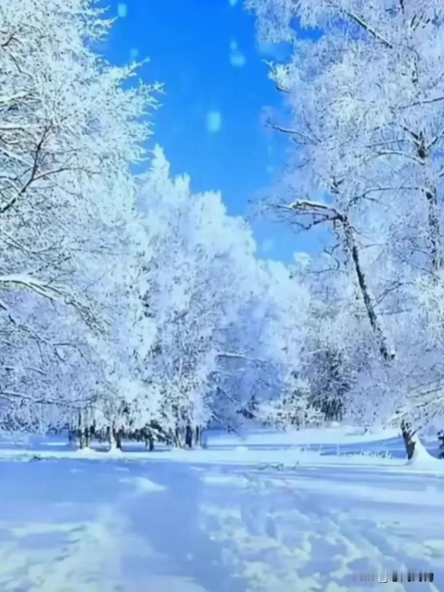 雪景，是冬天的童话。在这个瞬息万变的世界里，我们都在时间的长河中漂泊，寻找着自己