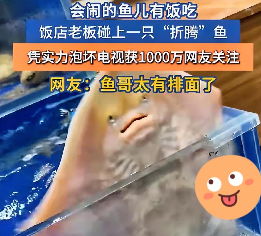 全网爆火的“鱼哥逆袭记”：饭店喷水鱼获1000万网友围观，喷坏电视保住小命，这波