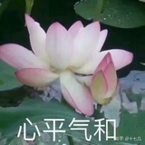 抱月侃科技