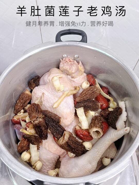 土鸡炖羊肚菌鲜掉眉毛👏🏻全家抢着喝