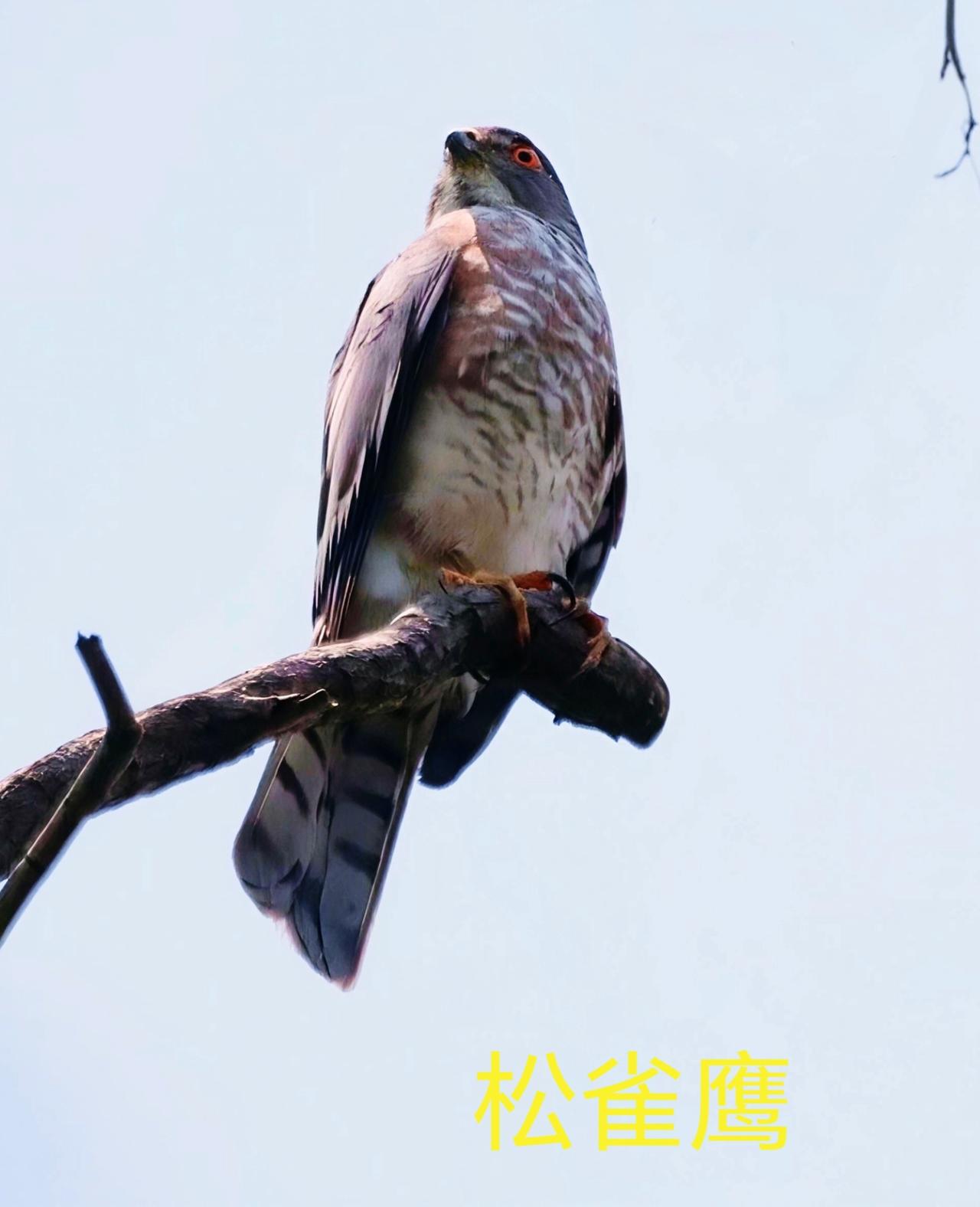 各位老师：早晨好