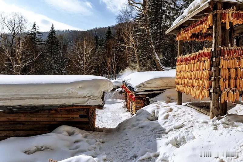 “当你真正想要做一件事的时候，全世界都会为你让路。”就像宇宙能量加持理论说的，你