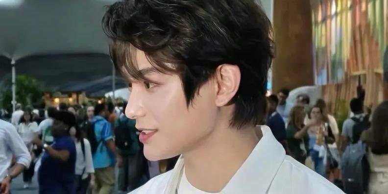 在巴西贝伦举办的联合国气候变化大会（COP30）上，演员丁禹兮以本名丁舟杰的身份