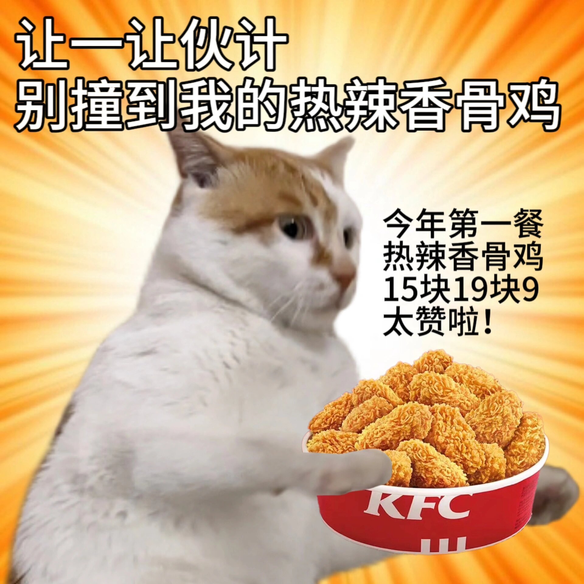 分享猫猫表情包 ​​​