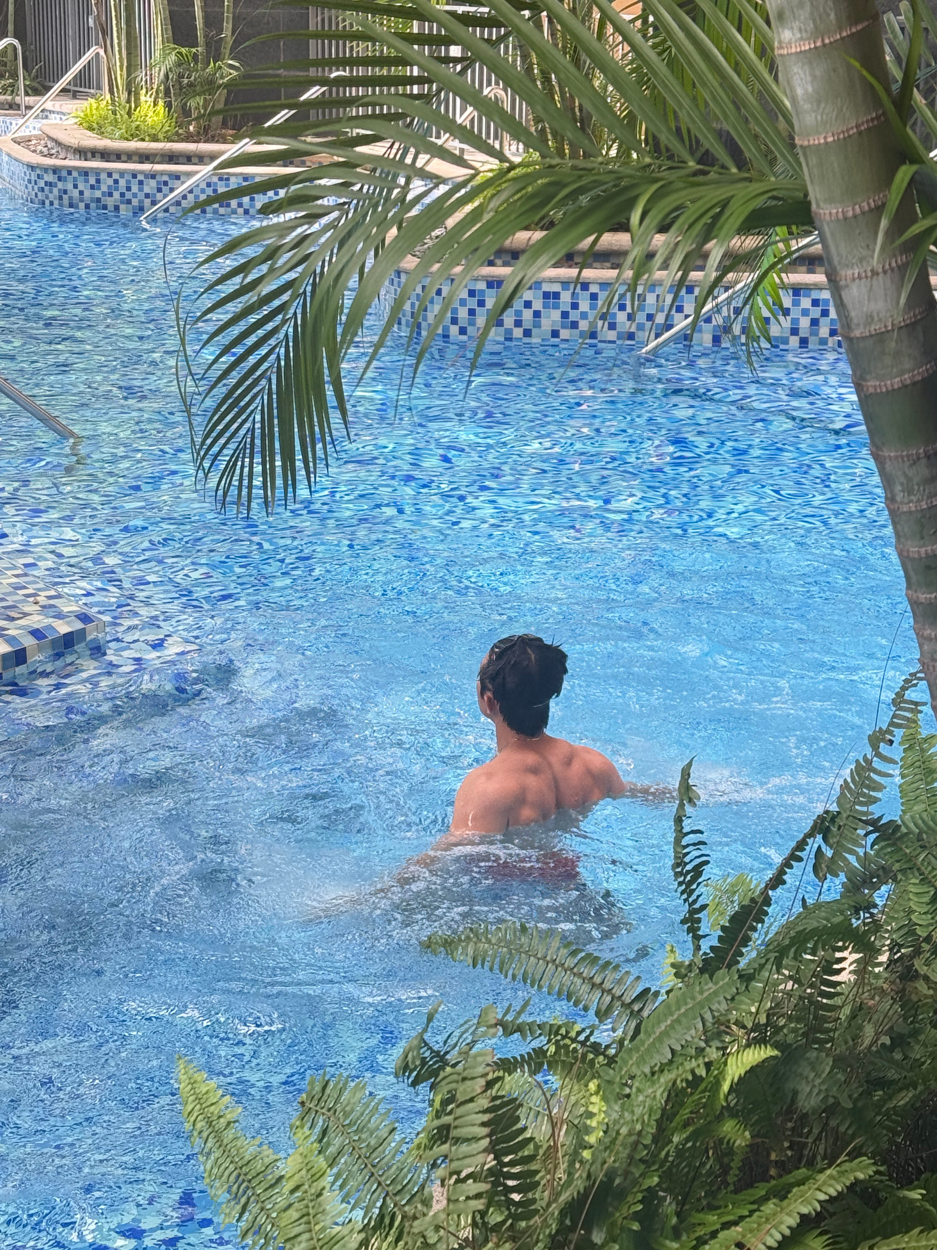 被亮醒，发现球宝在窗前，旅蛙不知所踪我问球爸爸呢？球说在游泳我心想不可能吧？没想