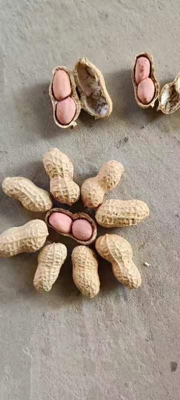 花生价格2026年3月20日辽宁省辽阳市花生价格行情分析
辽宁辽阳308白沙通米