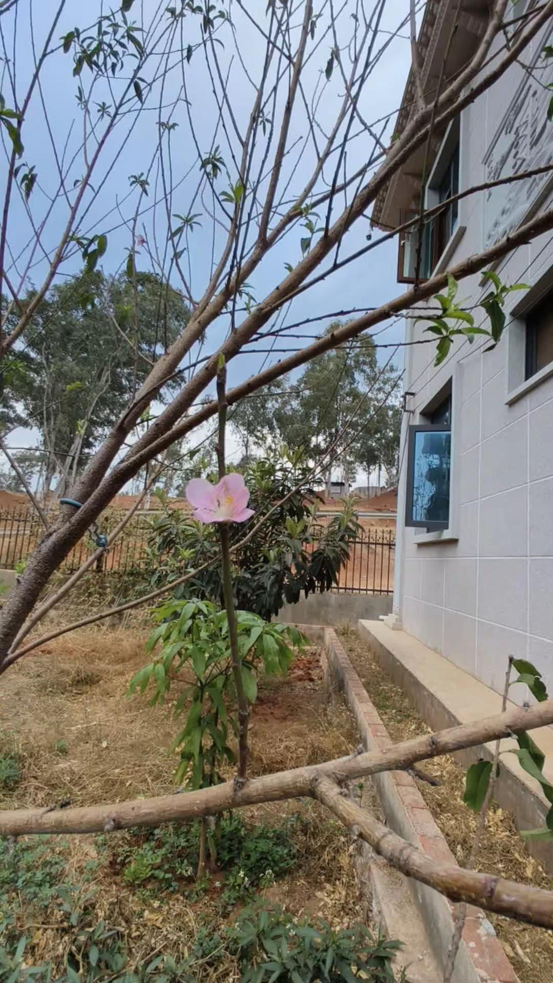 今天是个好日子……👻👻