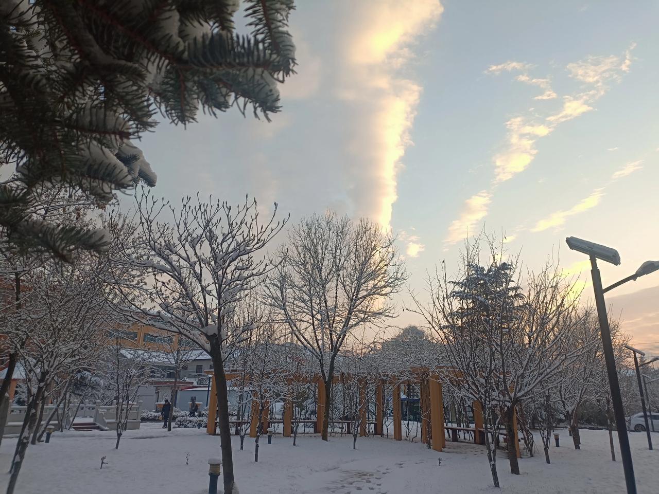 #你们认为什么样的人生才有意义#
所有的芳华，都是为了秋的收获，越是在春光里绽放