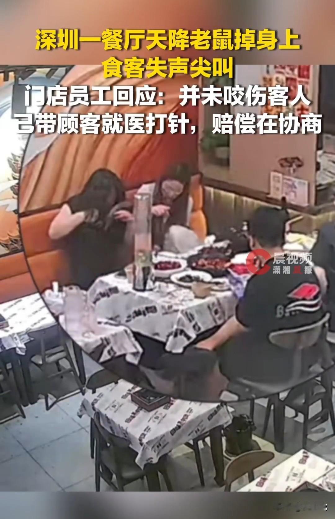 5月23日，深圳华强北某鸭煲店，女子与同伴正在用餐，突然头顶“啪”的一声，一个黑