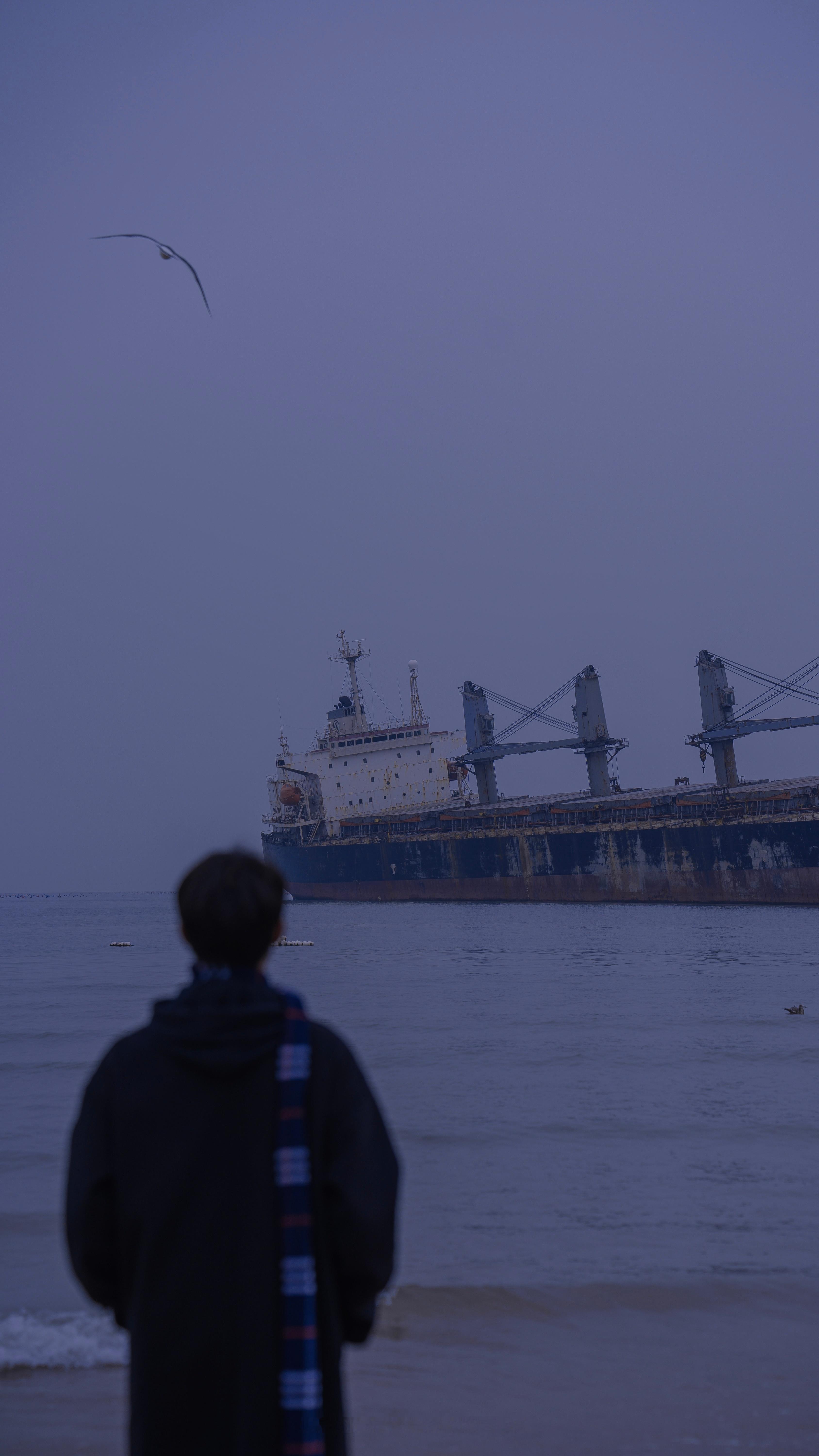 被搁浅的是布鲁威斯号，不是你我的人生。🚢  ​​​