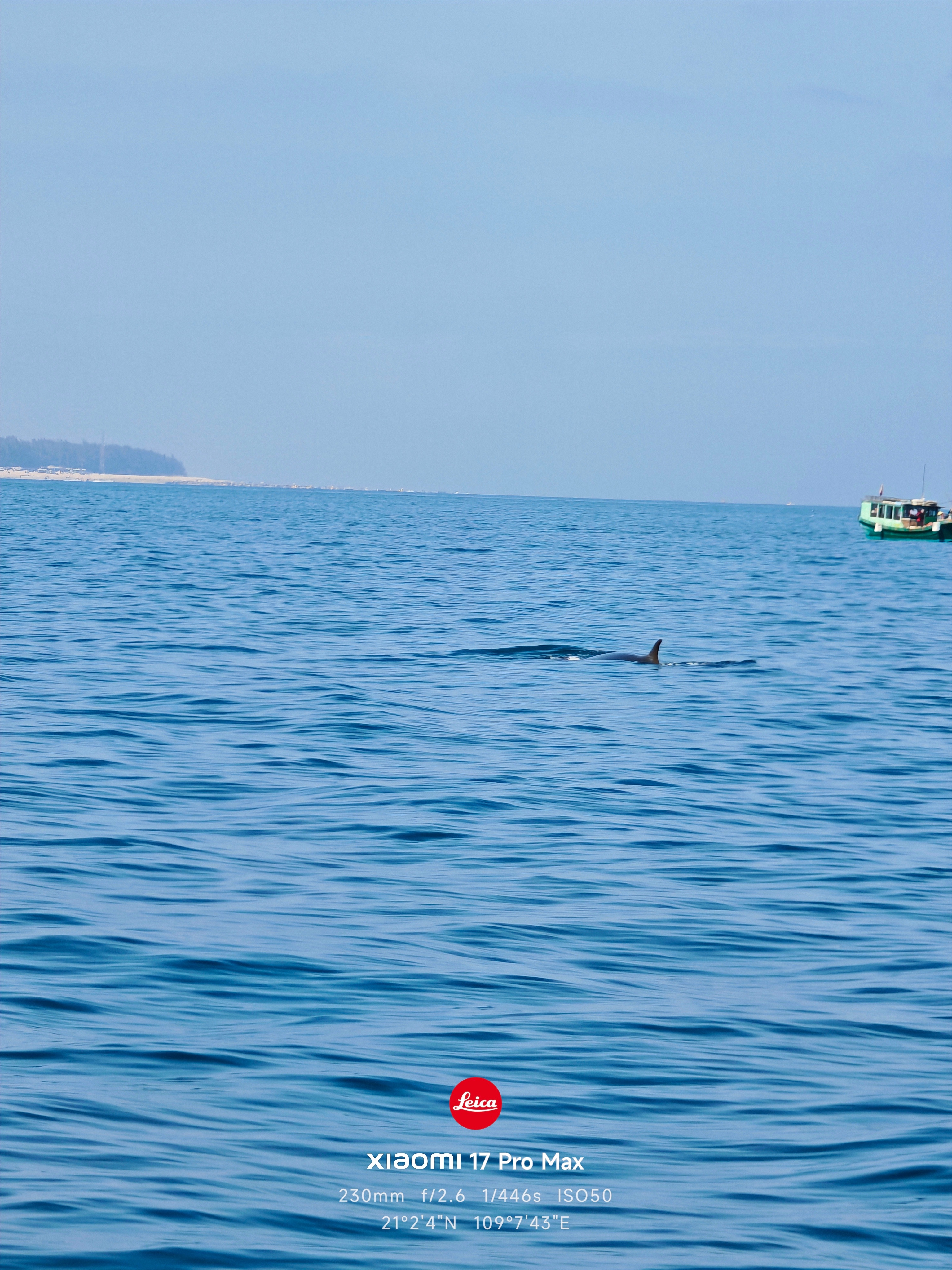广西涠洲岛观鲸，当时应该40艘船，浩浩荡荡过去看布氏鲸，总共就70多只，每次能看
