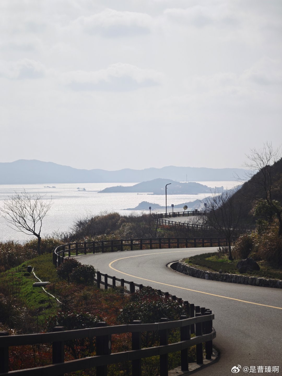 今年，大型SUV/大三排SUV，这个细分市场。增程/插混有:问界M9、问界M8、