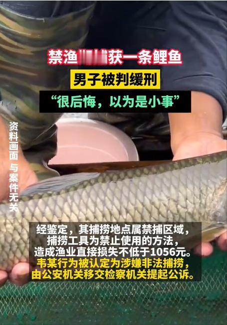 “过度执法？”四川自贡，一男子在沱江边捕捞了一条1.1公斤重的鲤鱼，结果被巡逻的