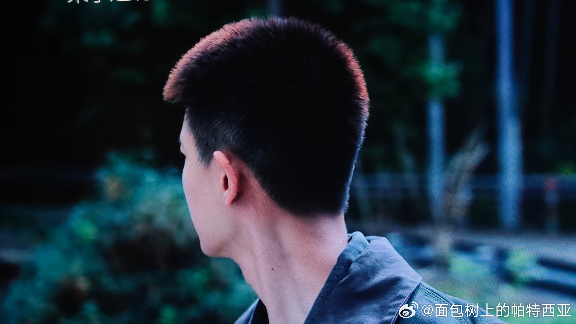 谁能拒绝这颗毛栗子头！任嘉伦[超话] ​​​