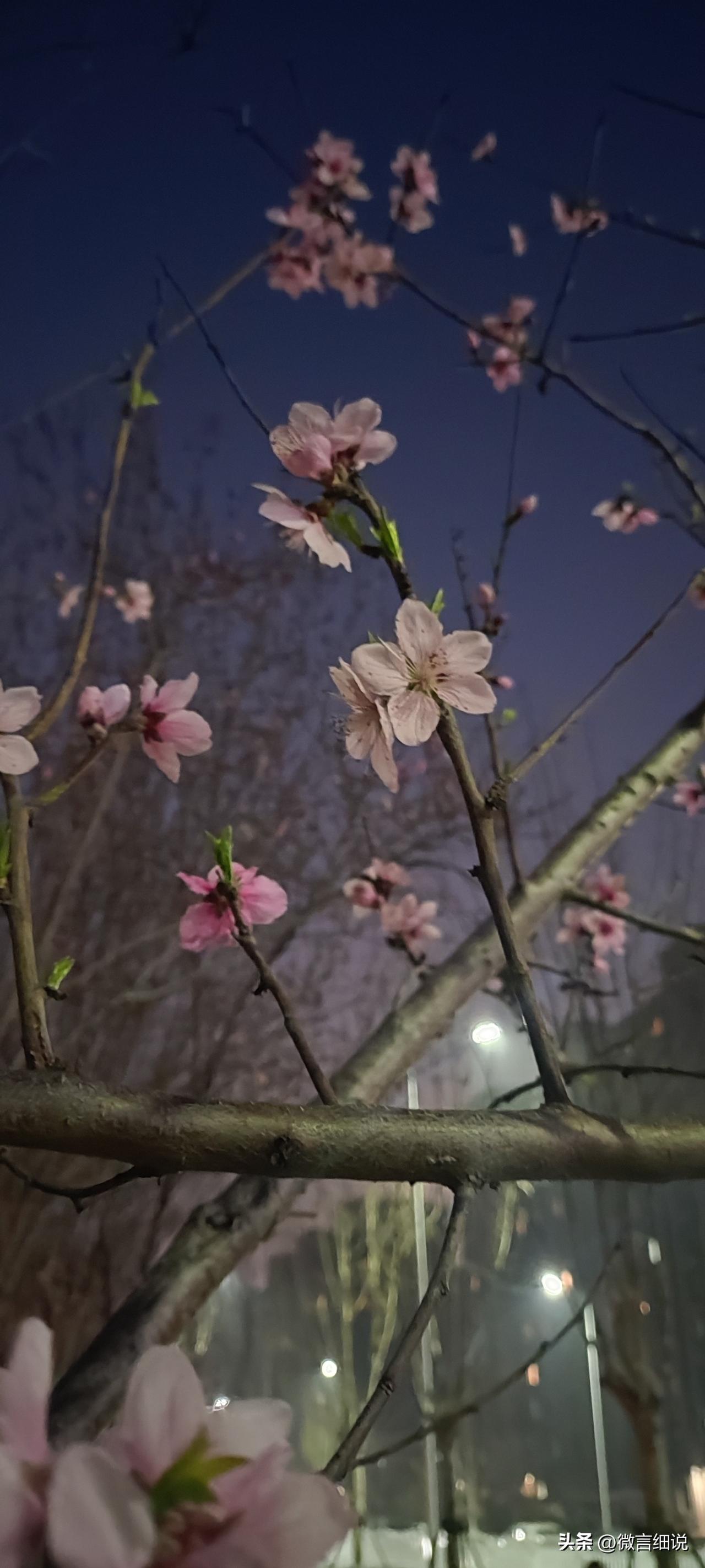 一不小心，混到了一个极其尴尬的年龄，不管你你干什么，人家都说你年龄大了，不要，只