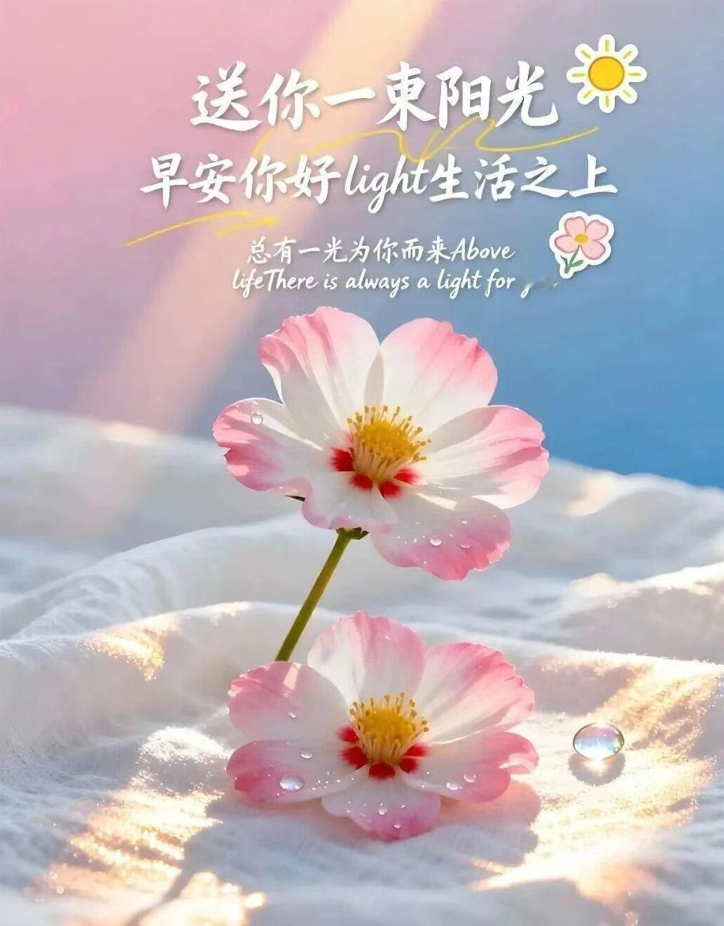 退休之后我选择了躺平，人生上半场为了生计忙忙碌碌勤勤恳恳的工作，人生下半场我要活