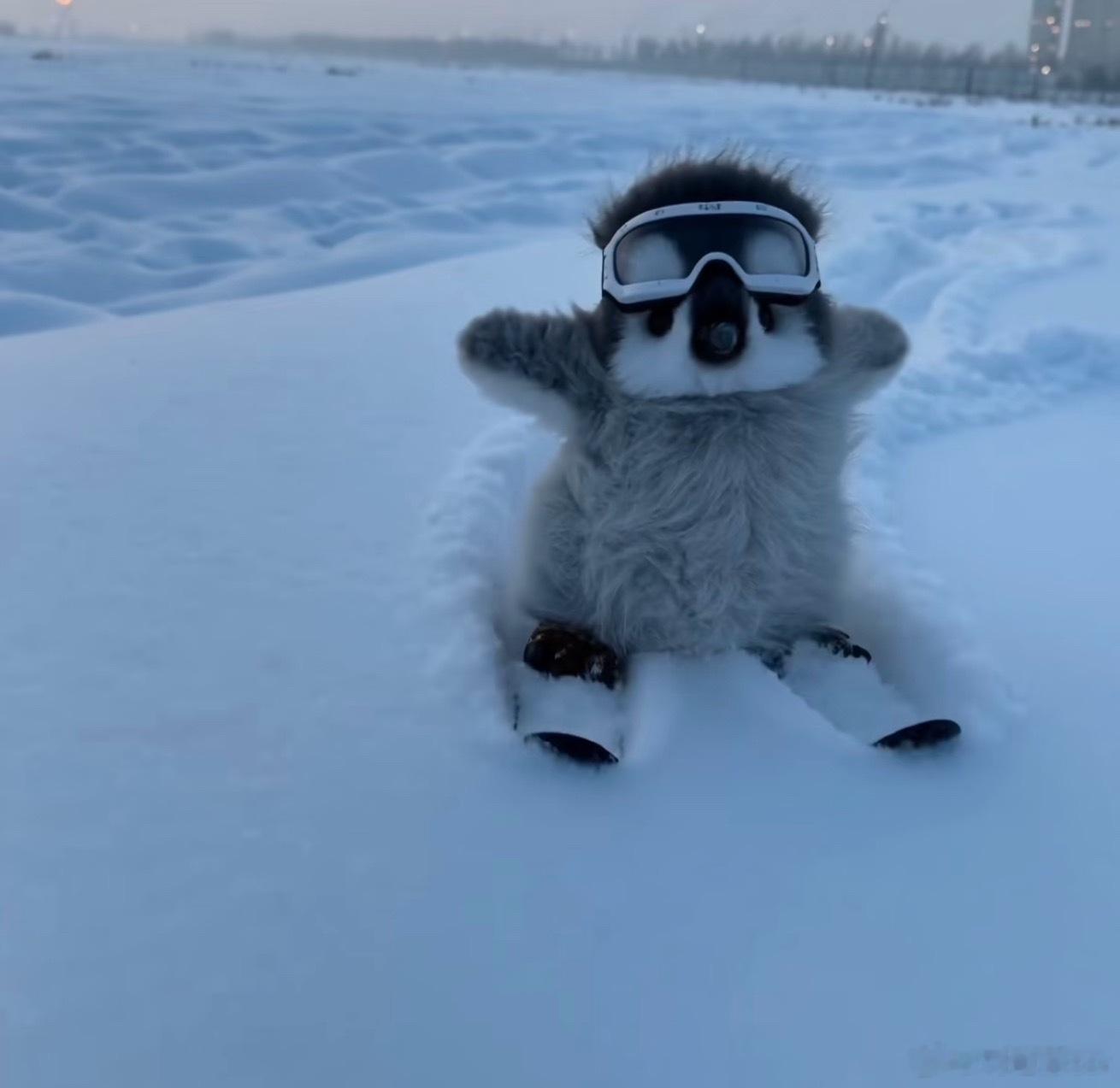 过段时间要去吉林滑雪问问大家吉利有什么好吃的嘛 北京