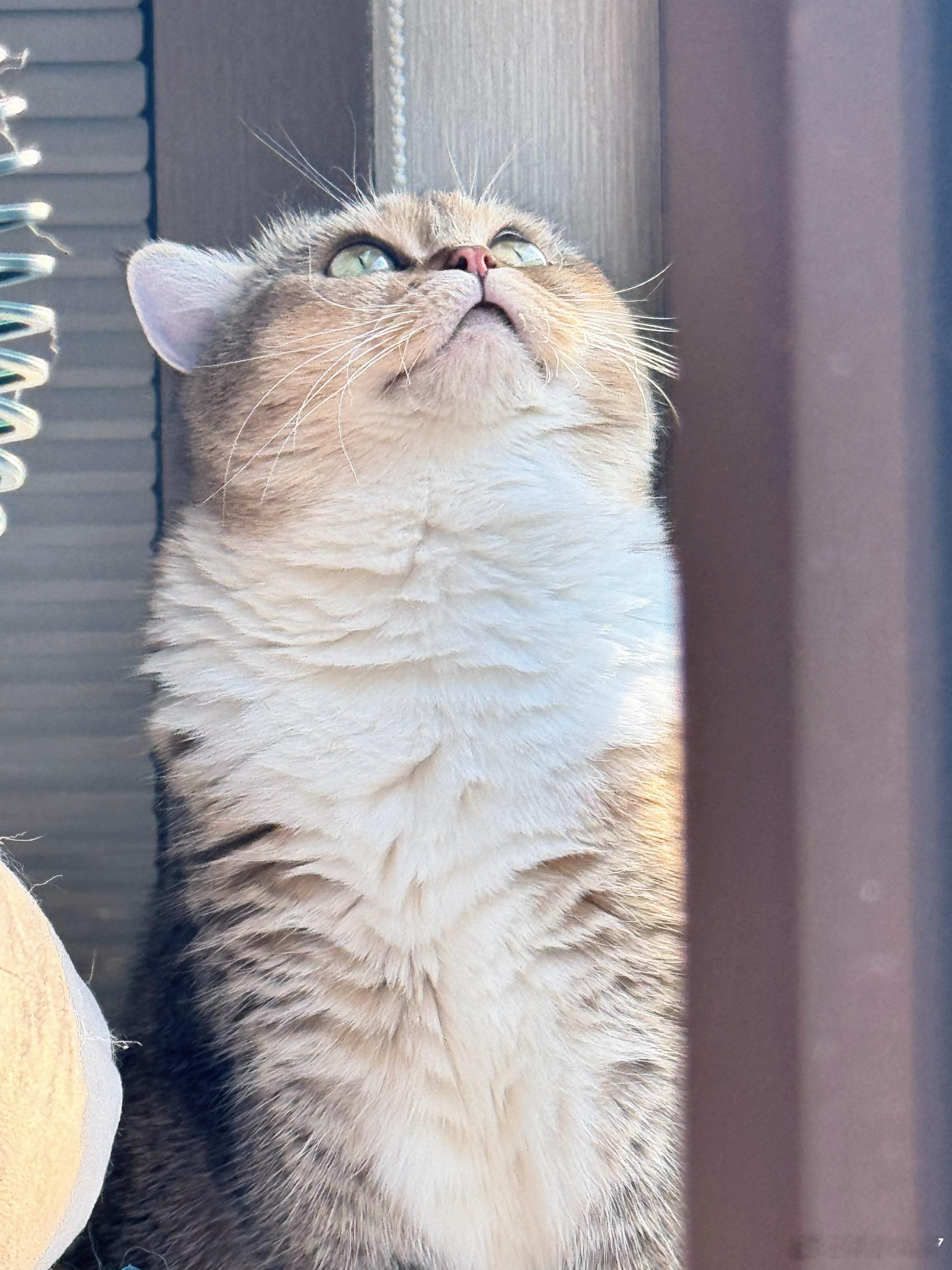 脖子呢 