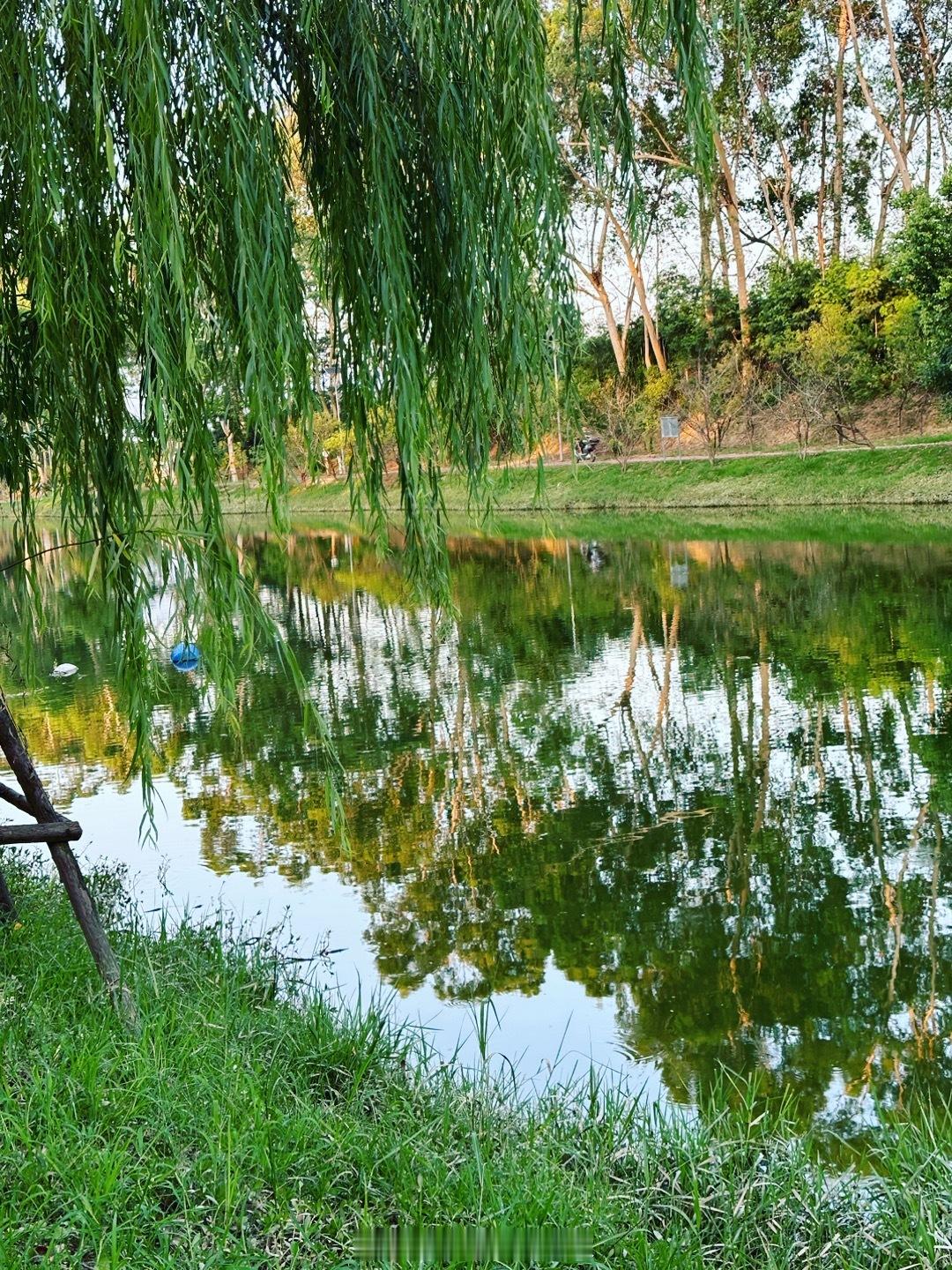  在繁忙的都市生活中和炎炎夏日。翔安九溪湿地公园，就是散步休闲理想之地。漫步于小