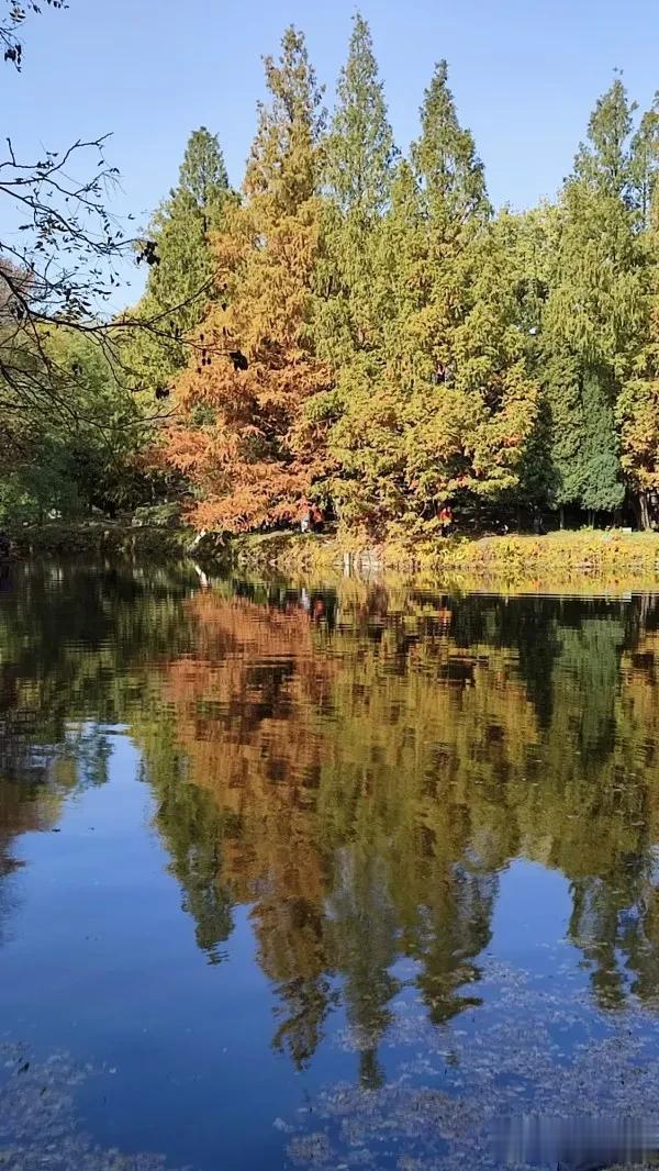 #秋之童话# 
乔乔和巧巧，走在外婆桥。

桥桥上头站，侨胞敲翘桥。