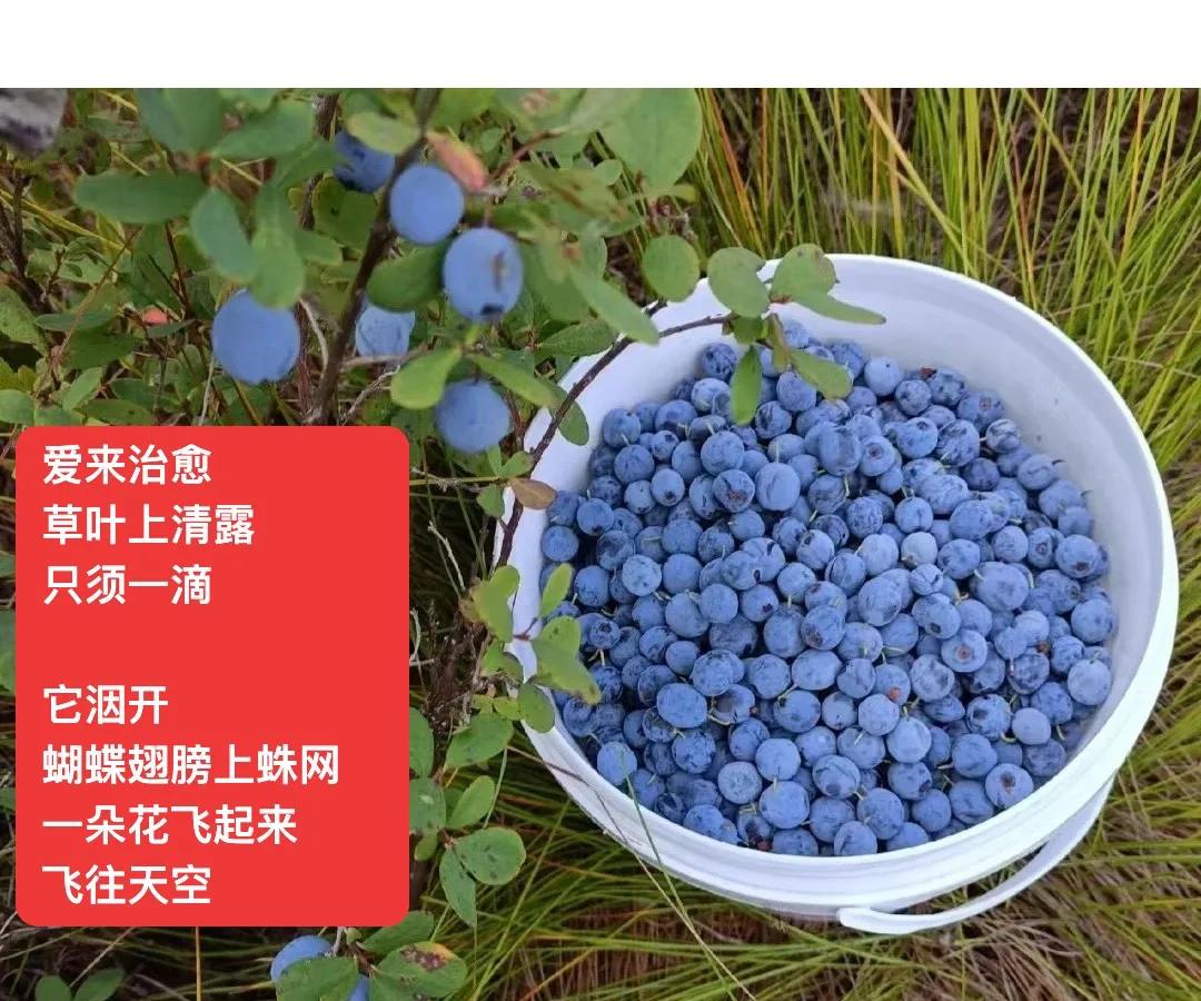 一缕风  放缓脚步
我知道
它流连七月花朵
．
微风  还向天空
伸出温柔小手
