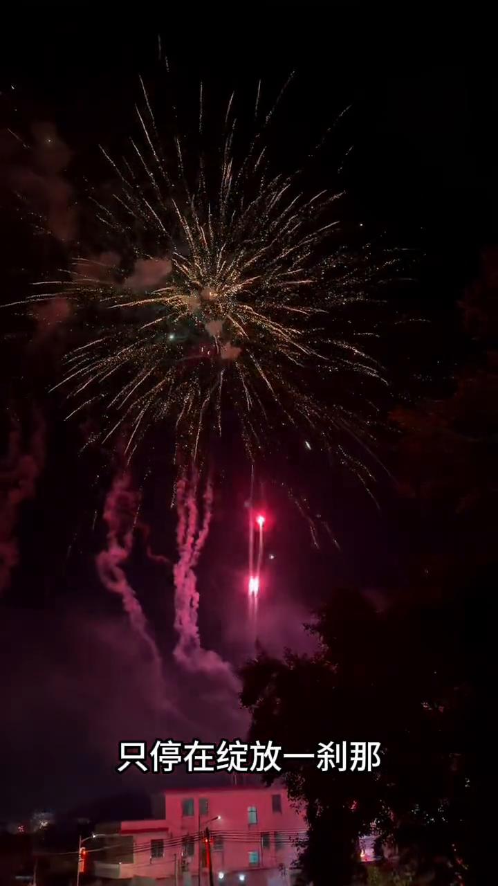 像转瞬即逝的烟花，只停在绽放一刹那，我却已无法自拔。我们的爱曾有时差，因为你已经