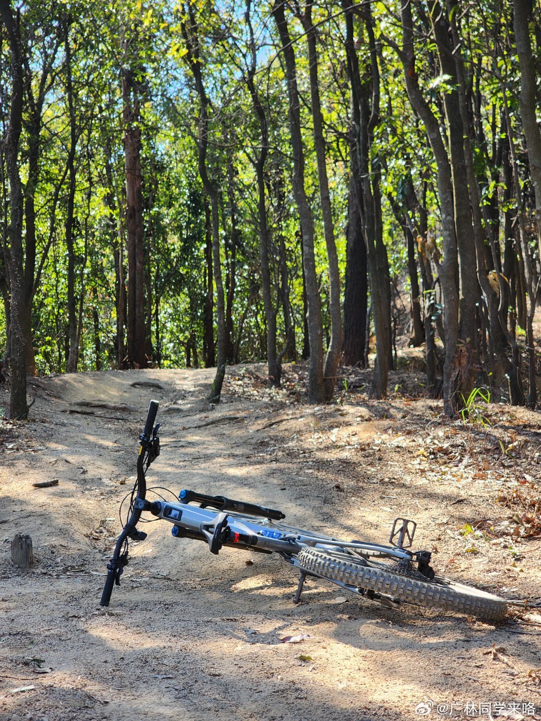 高中过后基本没玩过了，时隔多年终于再次上山。和学生哥们玩了一个早上平均心率没下过