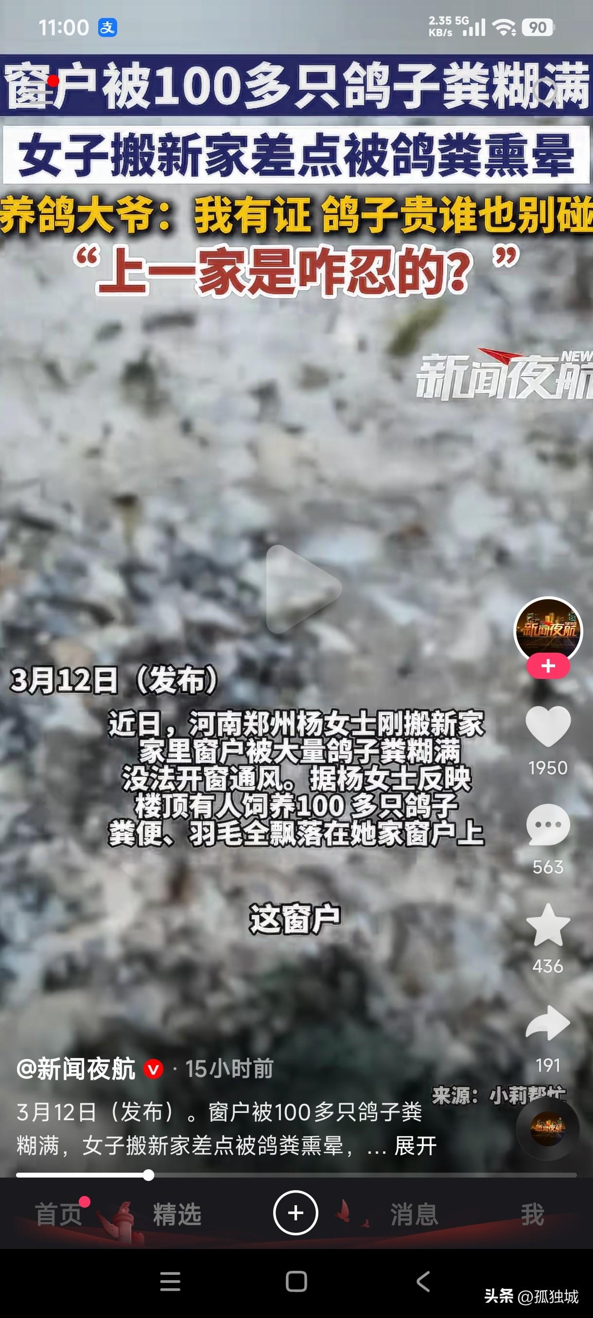 河南郑州女子搬新家窗户被100多只鸽子粪糊满，根本就不敢开窗通风，养鸽大爷居然说