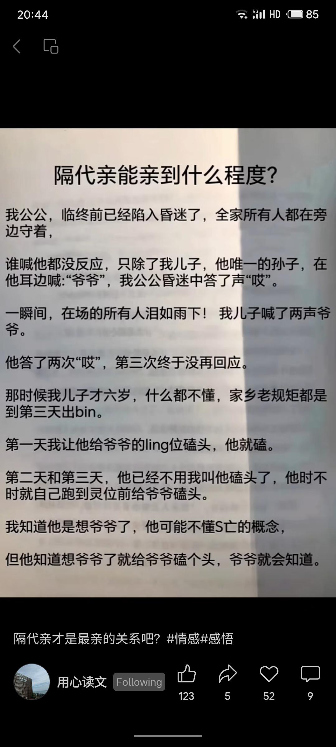 老人临终昏迷，对六岁孙子的呼唤却仍有回应。孩子不懂死亡，出殡期间反复向爷爷灵位磕
