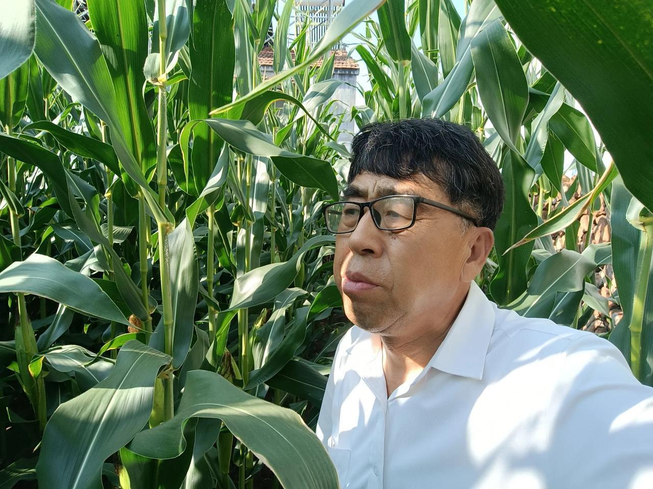 乡村农家！
  乡村农家，特别是收获的季节，真得太美了。
  立了秋，天气仍然还