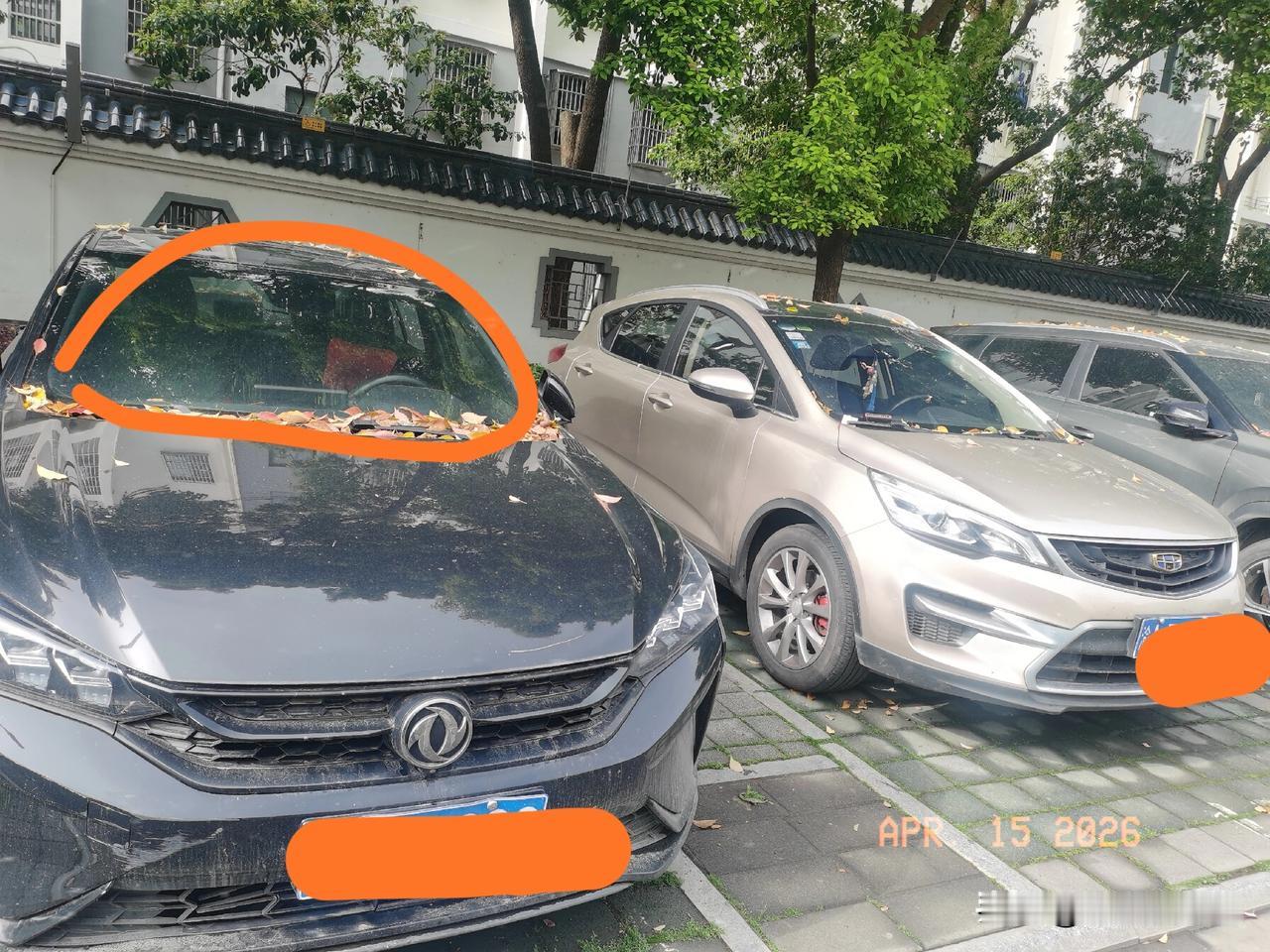 小区旁边停了好多闲置车，
上面落了好多落叶和灰尘，
估计有很长一段时间没人开了，