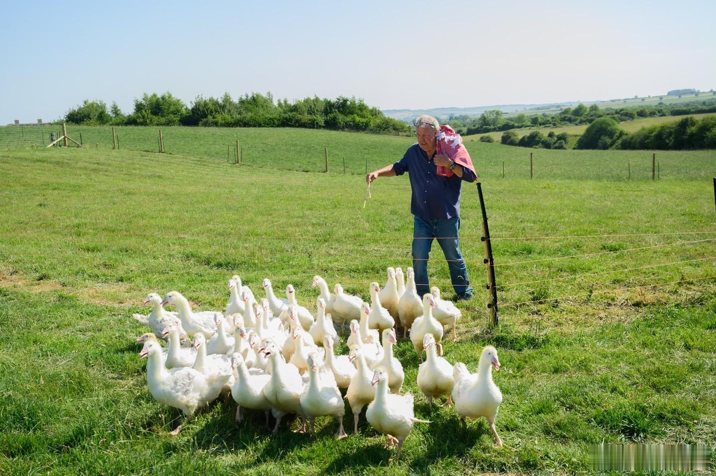 一年一度牧场体验《克拉克森的农场》第五季定档6.3上线播出： 