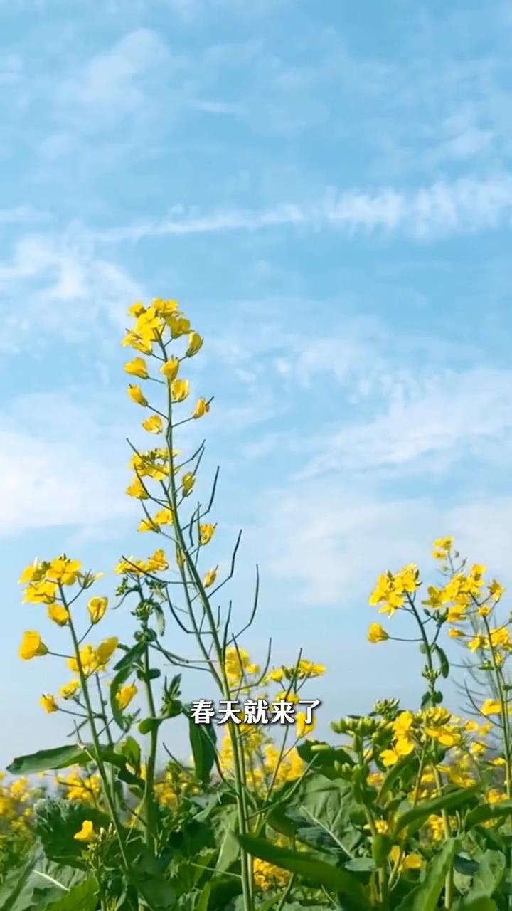 今天是小寒，一年中最冷的时候到了。老话说：小寒时处二三九，天寒地冻冷到抖。小时候