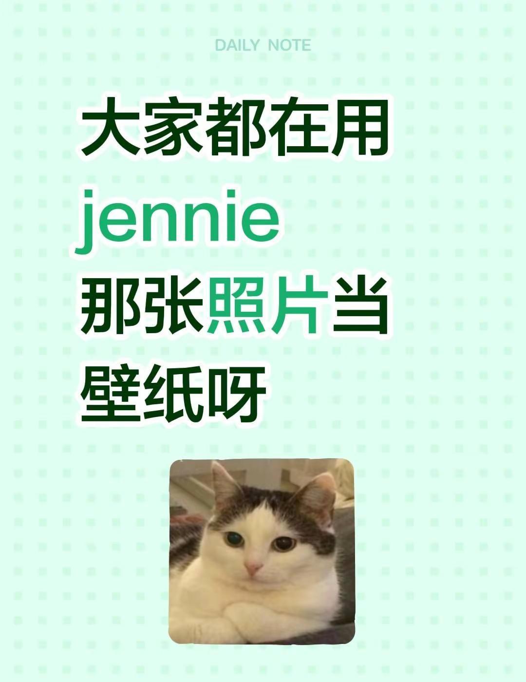 大家都在用jennie那张照片当壁纸呀手机屏保壁纸 jennie 手机锁屏墙纸图