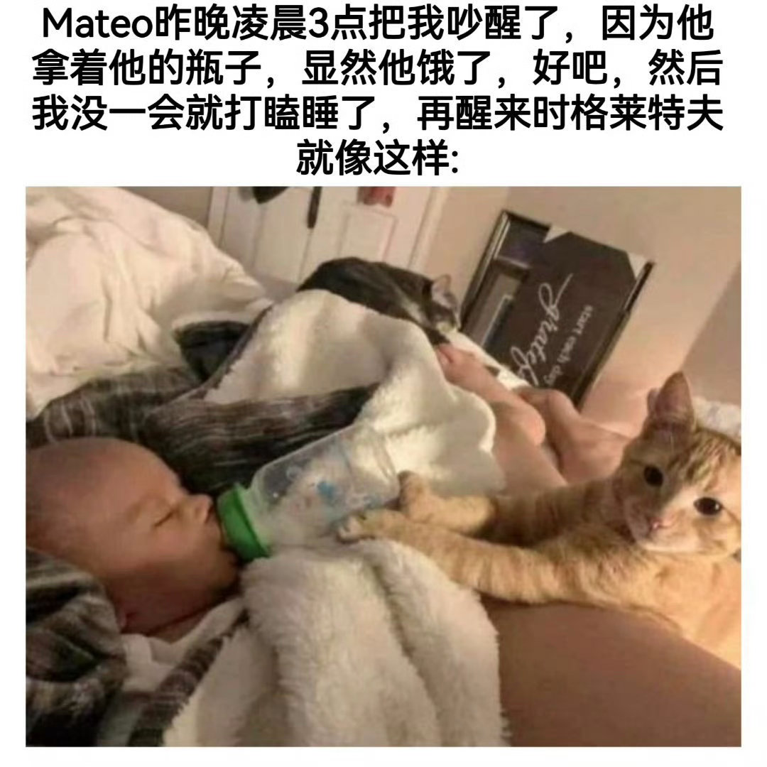 mateo好啊[赢牛奶] ​​​