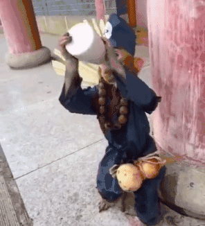 猴子：酒肉穿肠过，佛祖心中留 