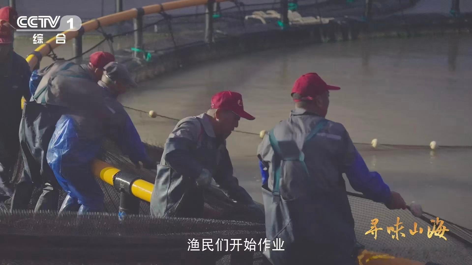 海产界性价比之王非它莫属！大黄鱼营养丰富，肉质鲜美无腥，黑暗中金黄耀眼超吸睛。靠